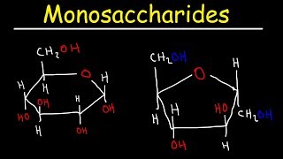 Monosaccharides  Glucose Fructose Galactose amp Ribose  Carbohydrates [upl. by Nikola]