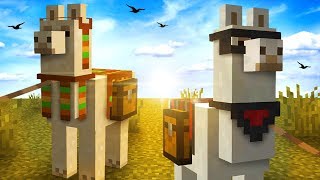 Everything You Need To Know About LLAMAS In Minecraft [upl. by Wolfie276]