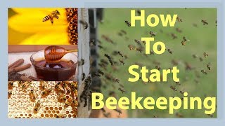 Beekeeping How To Start Beekeeping In 2025 [upl. by Forrer232]