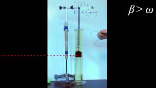 Damped Oscillatory Motion [upl. by Floridia143]