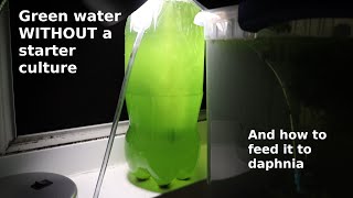 Green Water WITHOUT a Starter Culture  From Scratch  How To [upl. by Aileno718]