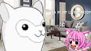 Llama in my living room [upl. by Adnwahsar]