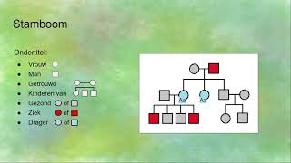Stamboom erfelijkheid [upl. by Halette]