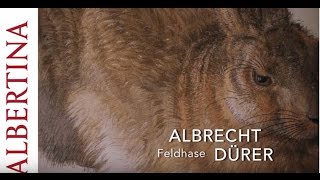 Albrecht Dürer  Feldhase  1502 [upl. by Hsuk445]