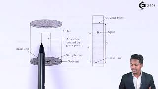 Thin Layer Chromatography Principle and Technique  Chemistry Class 11 [upl. by Rialcnis]