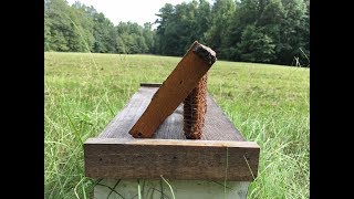 Watch this BEFORE you try Foundationless Beekeeping [upl. by Miles478]