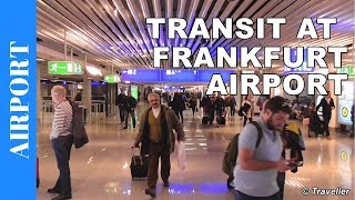 TRANSIT WALK AT FRANKFURT Airport FRA Terminal 1  Connection Flight Transfer Arriving amp Departing [upl. by Azer]