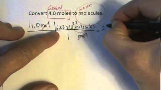 Moles to Molecules Conversion [upl. by Rundgren]