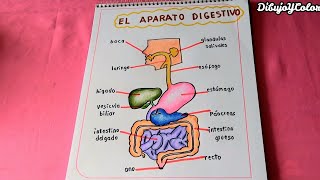 6 Trastornos Mentales Incomprendidos  Psych2Go [upl. by Tawsha]