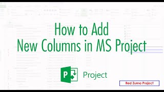 How to Add New Columns in Microsoft Project Professional [upl. by Freeman]