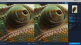 How to Fix Blurry Images with Topaz Sharpen AI [upl. by Ragg]