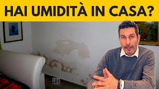 Umidità in casa come eliminarla DEFINITIVAMENTE [upl. by Amikat]